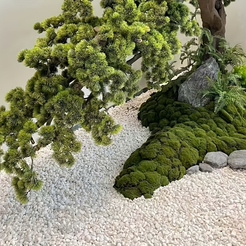 Guijarros Blancos de 1-3 cm, 300/600 g, Ideales para Decoración en Macetas y Paisajismo con Plantas o Flores, Adorno para Acuarios