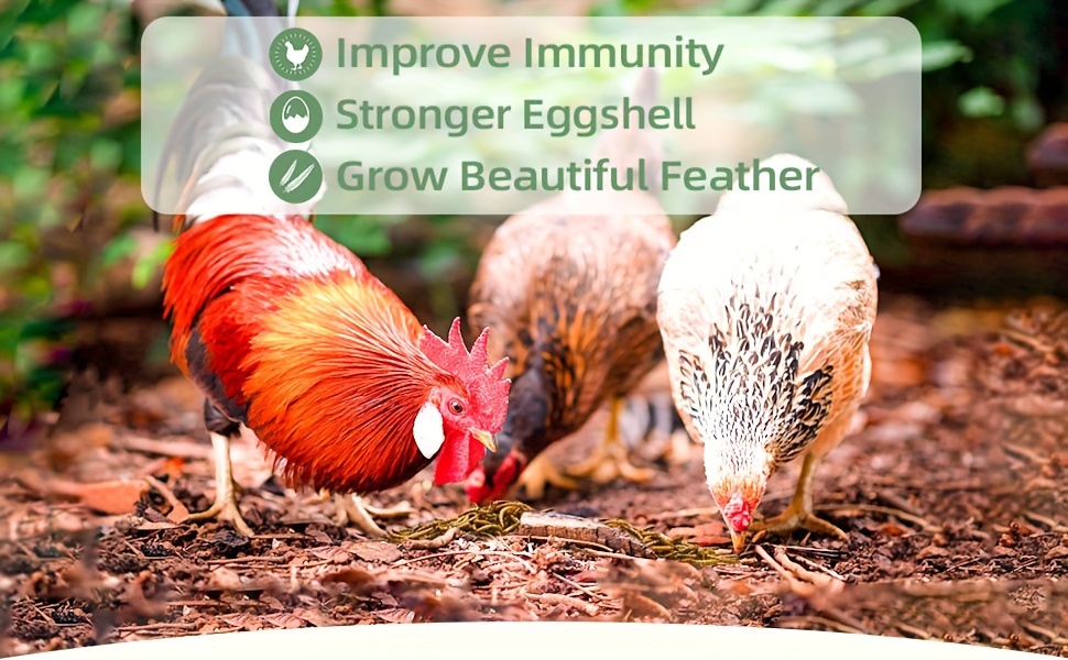 10 lbs High-Protein Mealworms – Ideal for Birds, Ducks, Fish, Turtles. Rich in Protein & Calcium. 3 f39c2b44 a1ce 4a1e bfa8 ac01676b10c1