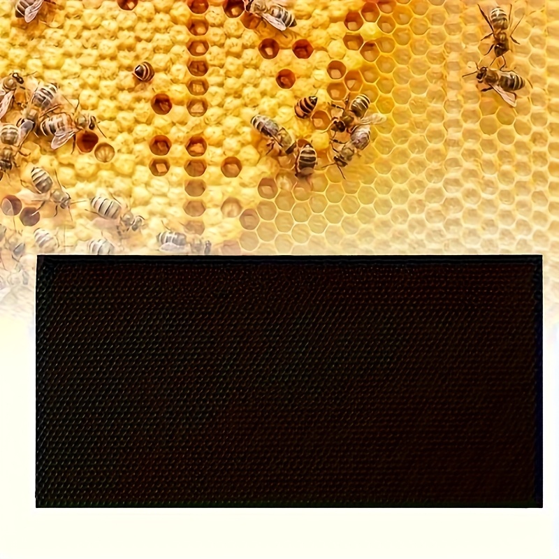 12er-Set Bienenstock-Eingangsscheiben Aus Kunststoff – Drehbar, 4 Modi, Für Fluglöcher ⌀6,8 Cm