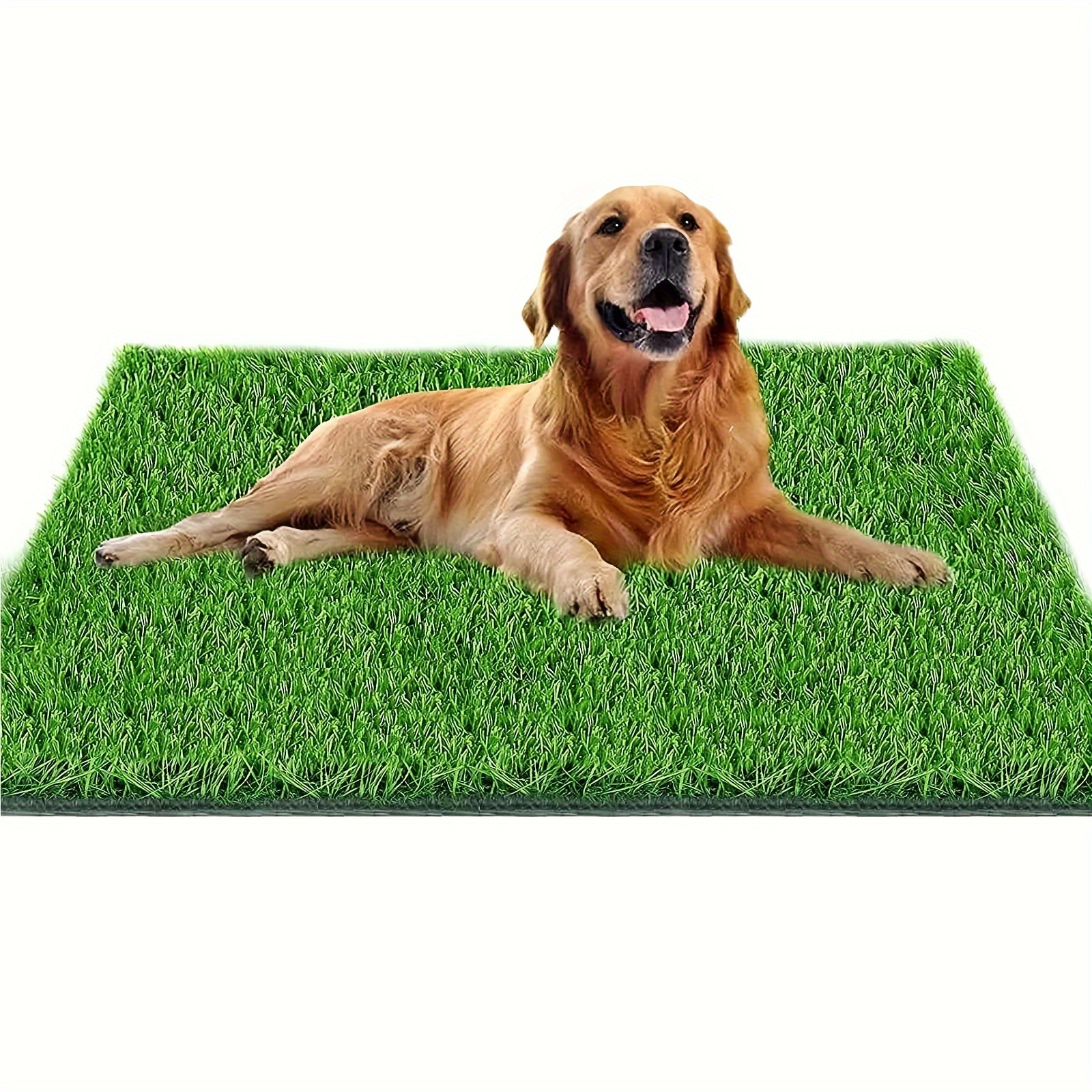 

Fortune-star Dog Pee Grass, 51.2in X 31.5in Dog Potty Grass, Artificial Grass For Dogs Suitable For Indoor/outdoor And Dog Potty Training (turf Dog Potty Easy To Clean And Use