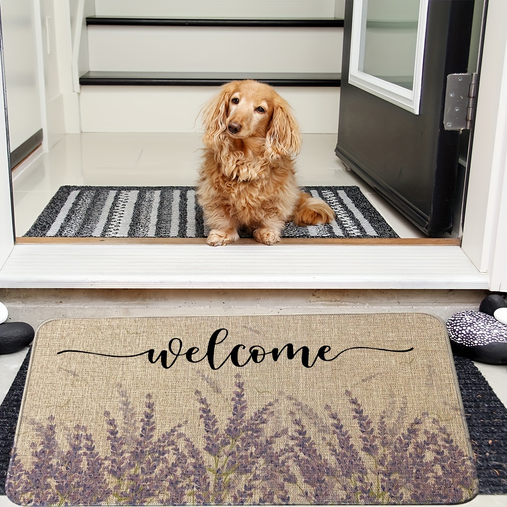 Your Ultimate Guide to Decorative Door Mats: Style Meets Functionality