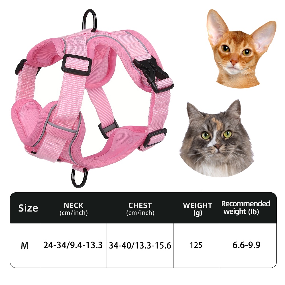 Cat Training Harness: Transform Walks with Ease