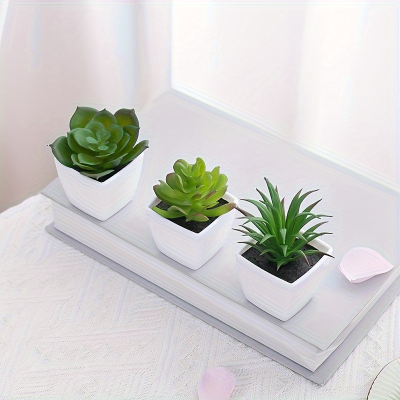 palme kentia Hydro Kingsize Kentia Palme 110-120cm  Green Me Up