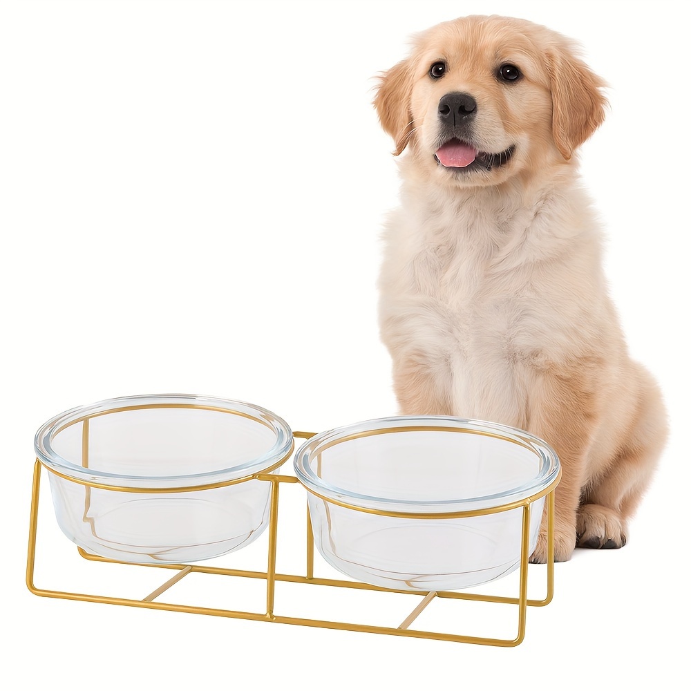 

Small Double Elevated Dog Bowls - - Bowl Set For And - Feeding Bowls Stand