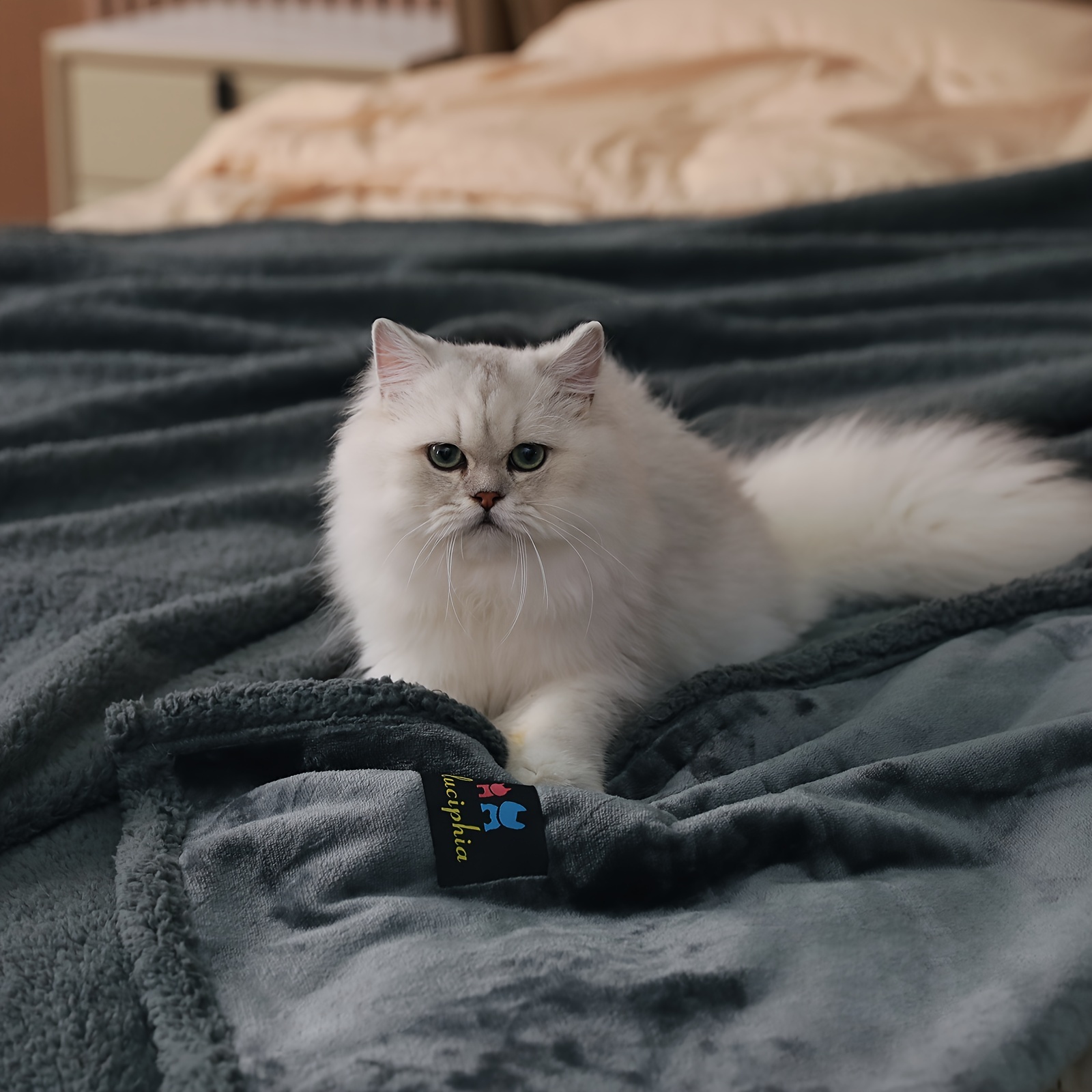 

Waterproof Blanket For Pet -reversible Sherpa Fleece Throw Protects Couches, Cars, And Beds From , Stains, And Fur