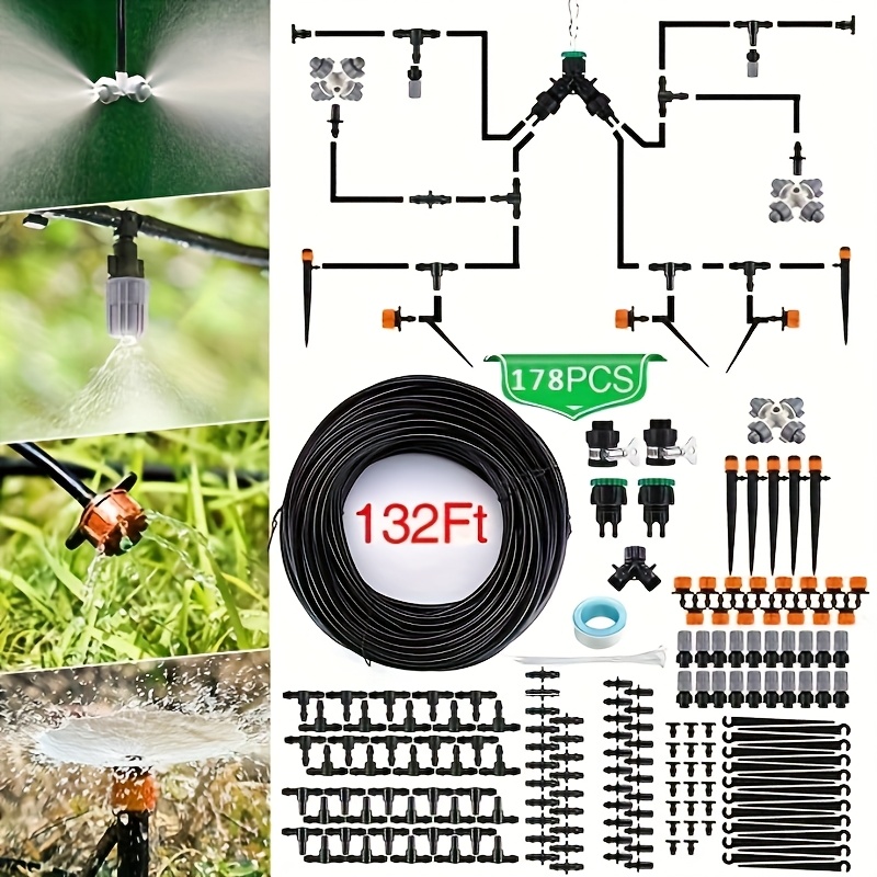 thuja smaragd ph wert Jetzt Lebensbaum 'Smaragd' online kaufen bei Bohlken Pflanzenversand –  Bohlken Pflanzenversand GbR main image 1