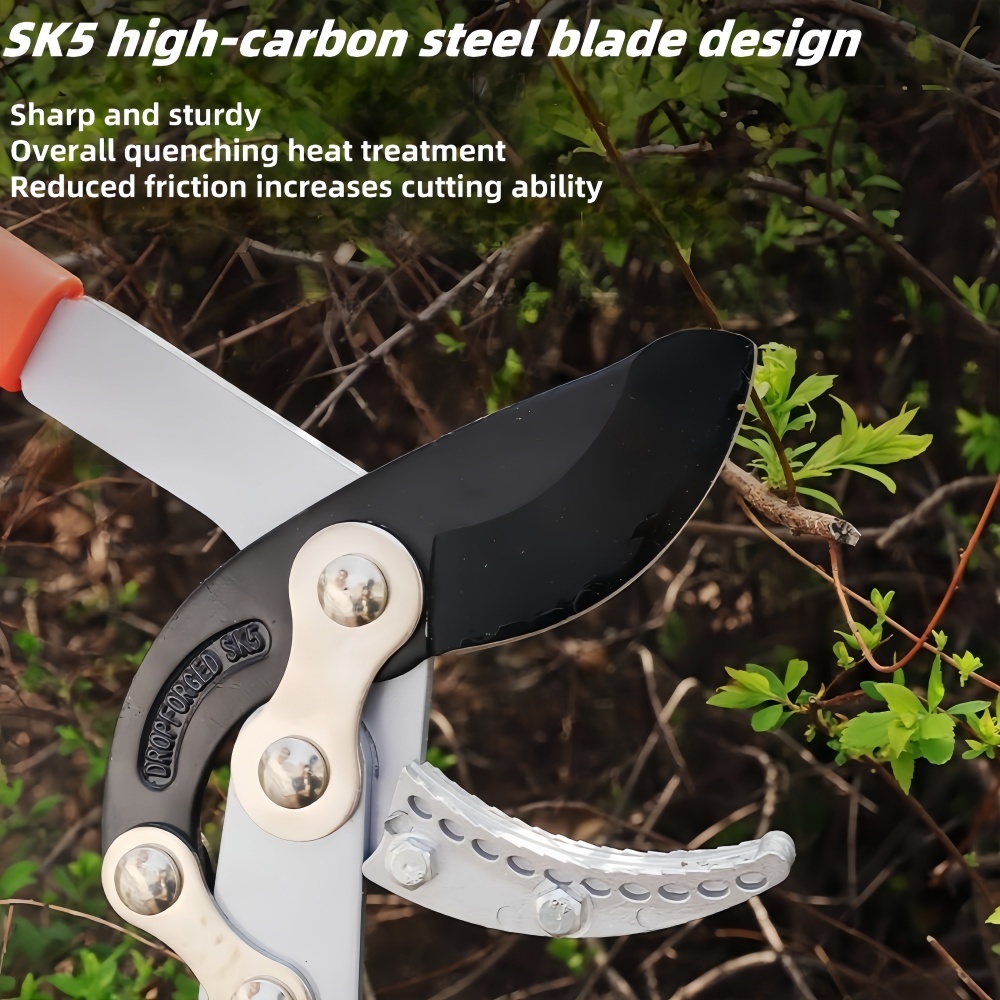 ABSF - Sécateur Pour Arbres Uitiers, Pour Jardin... - Grandado