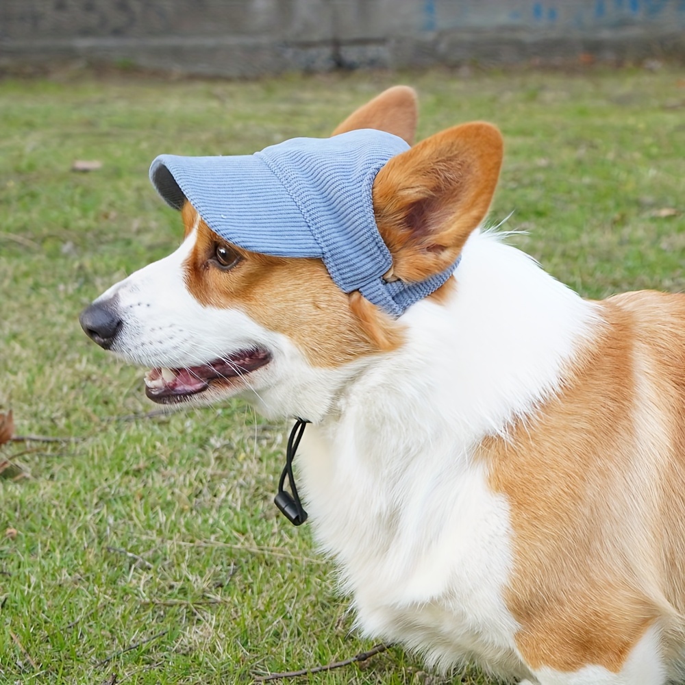 1Pza Gorra de béisbol transpirable para mascotas exclusiva para - Temu