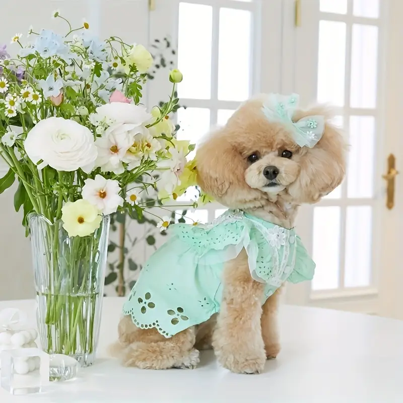 mint green dog dress Dog Dress, Dog Christmas Dress, Cat Dress, Dog Wedding Dress, Dog Dresses for Small Dogs Girl, Girl Puppy Princess Tutu Dress with Leash Ring, Fashion Pet Dog Clothes for Birthday Wedding(M-Green) -