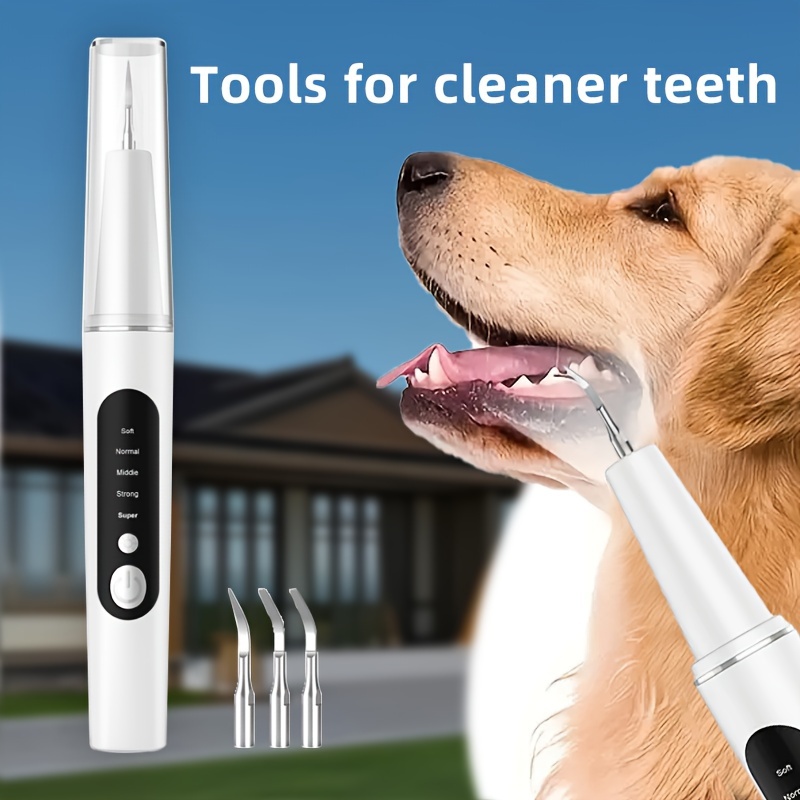

1 Pet Electric Tooth Cleaner, 4 Modes To Remove Teeth Stains And Stones, 2 Cleaning Heads, Mirror, Usb Charger - Care Kit To Protect Teeth And Gums