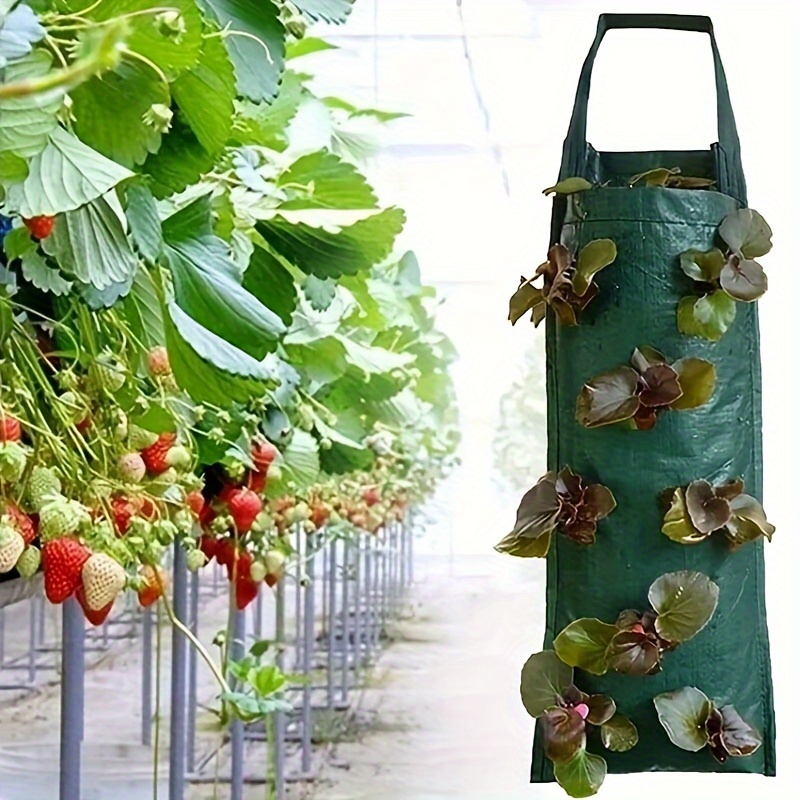 

1 Pack, New Type Of Vertical Strawberry Planting Bag Pe Vertical Hanging Three-dimensional Plant Bag Seedling Bag Multi-port Strawberry Bag