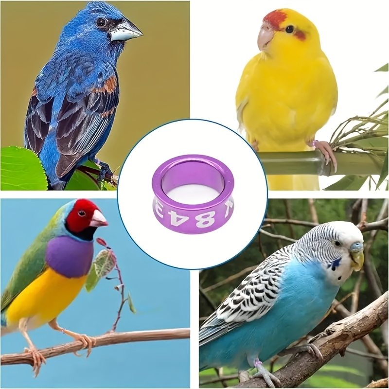 120 Pcs Mixed Color Poultry Leg Bands – Adjustable Identification Rings For Chickens, Ducks & Small Birds – Durable & Reusable