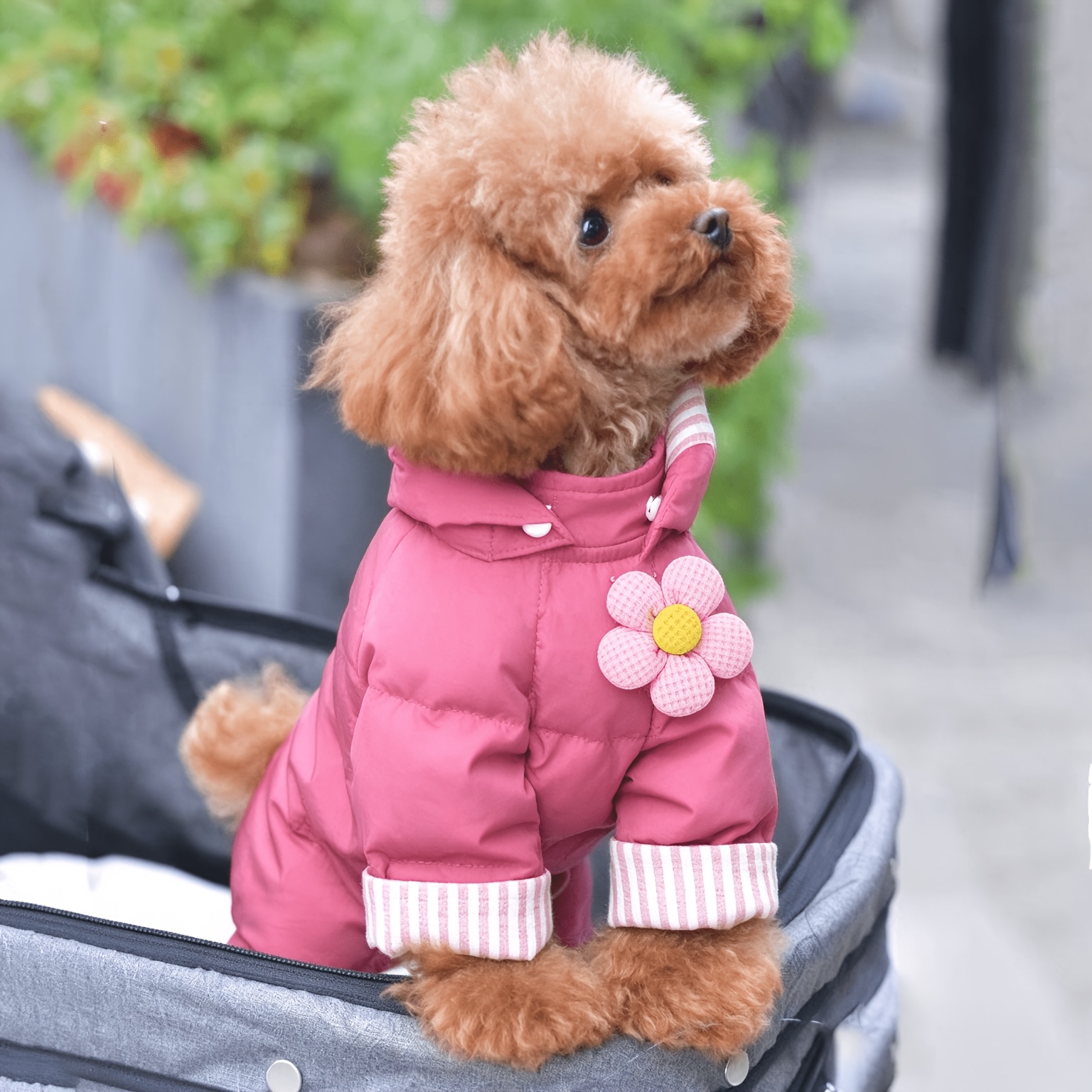 TEMU Chic Pet Dog Clothing For Male And Female Dogs, Thick And Warm Teddy Bear And Bichon Frise Winter Wear, Popular Online Warm Winter Clothes With