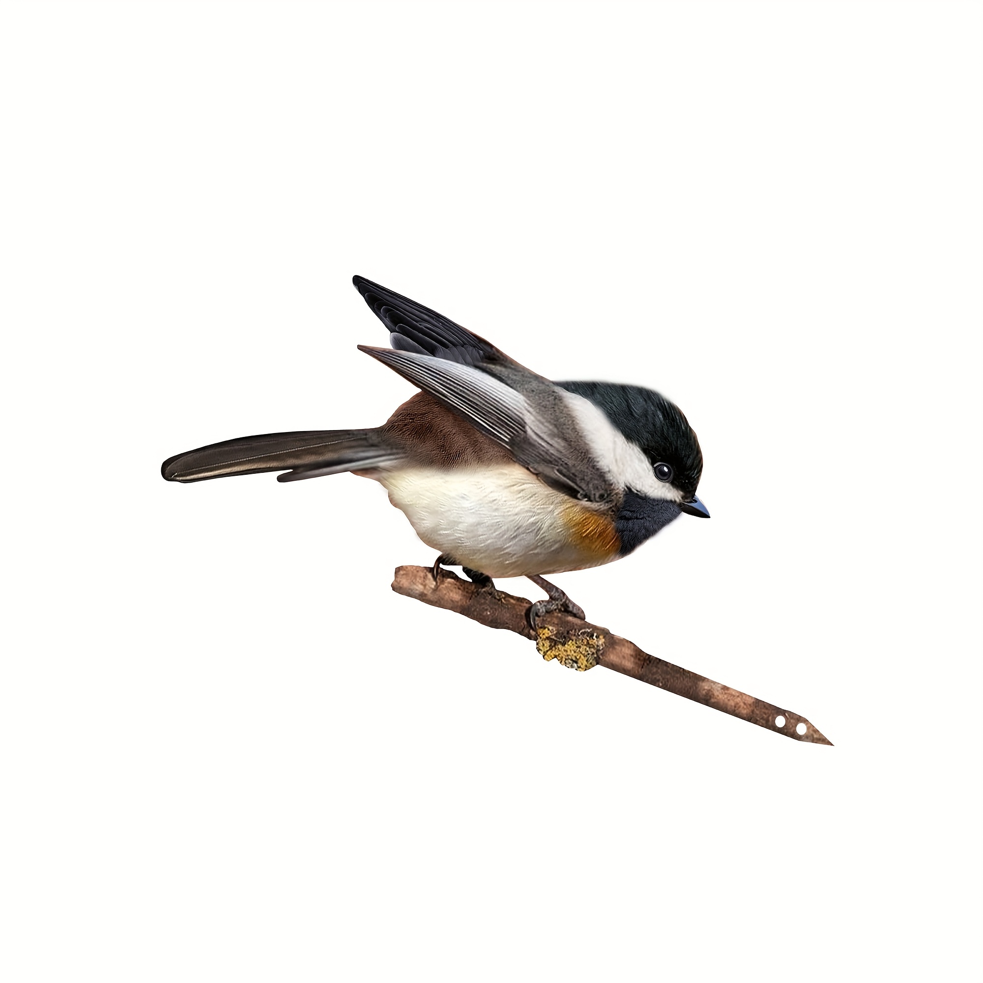 TEMU 1pc Garden Tree Decoration Bird, Double-sided Colorful Metal Bird, Outdoor Wall Decoration, House Decoration