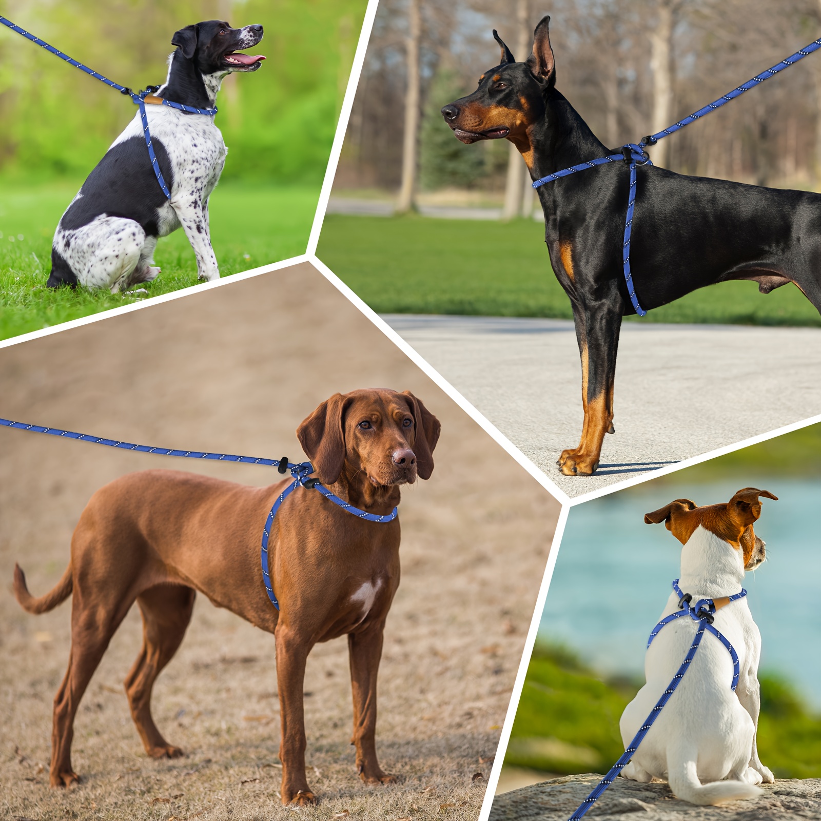 Lynxking No Pull Rope Dog Harness with Reflective Leash