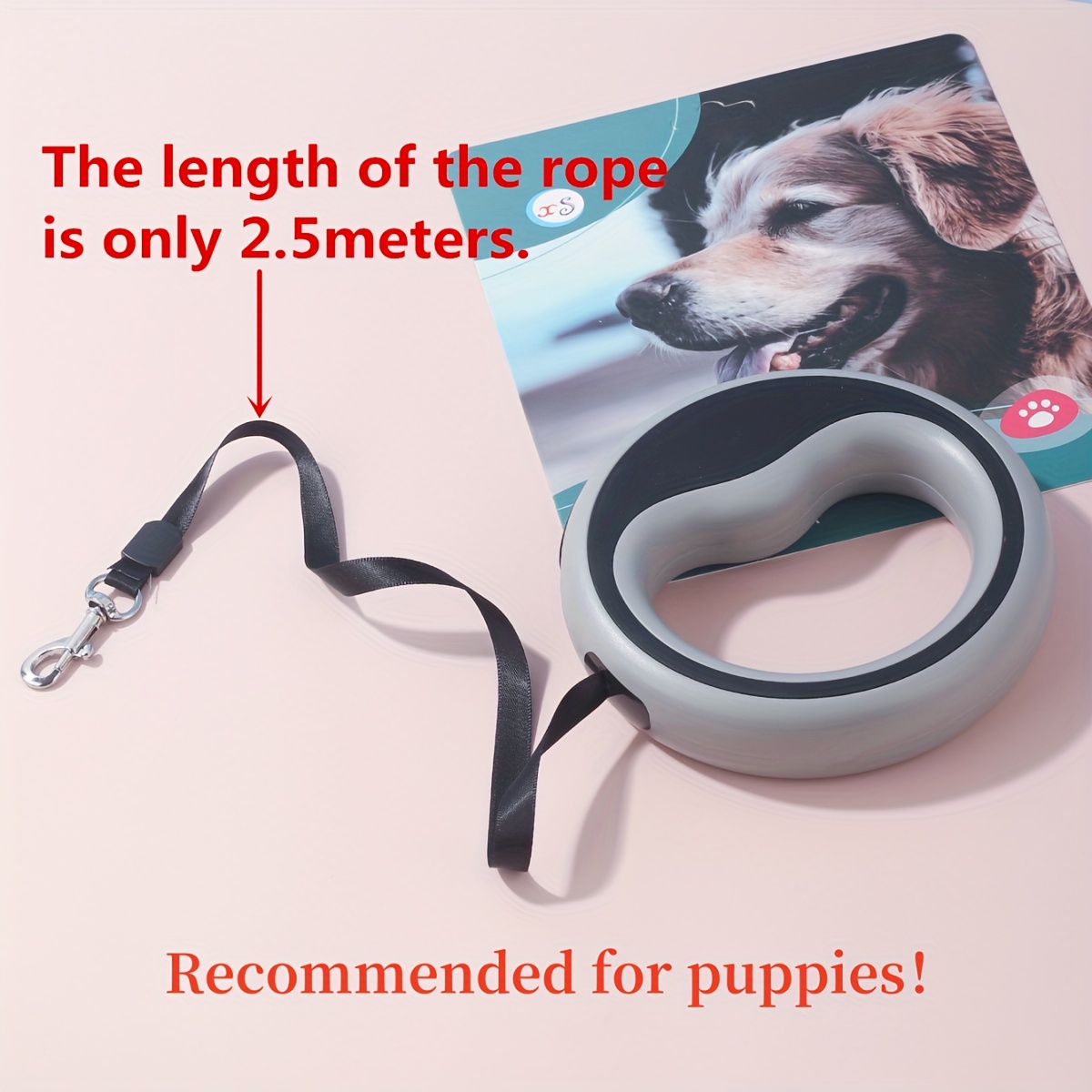 One 2.5-meter Retractable Leash with a Circular Ring, One-click Lock, and Free Adjustable Length. A Hand-loop Style Lead Suitable for Taking Small Dogs for Walks