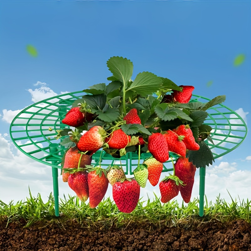 

Strawberry Tray Support Stand, Plastic Planting Pot For Fruit And Greenery, Anti-rot Leaf And Support Rack, Interlocking, Garden Support