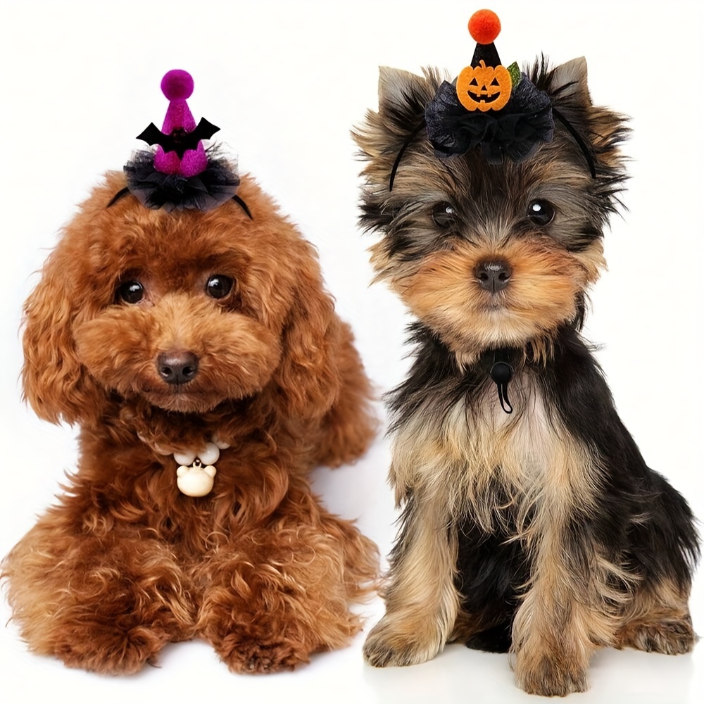 

2pcs Halloween Pet For & - Accessories