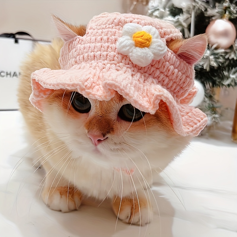 cute crochet cat hat bunny ears pet sun hat Temu Australia
