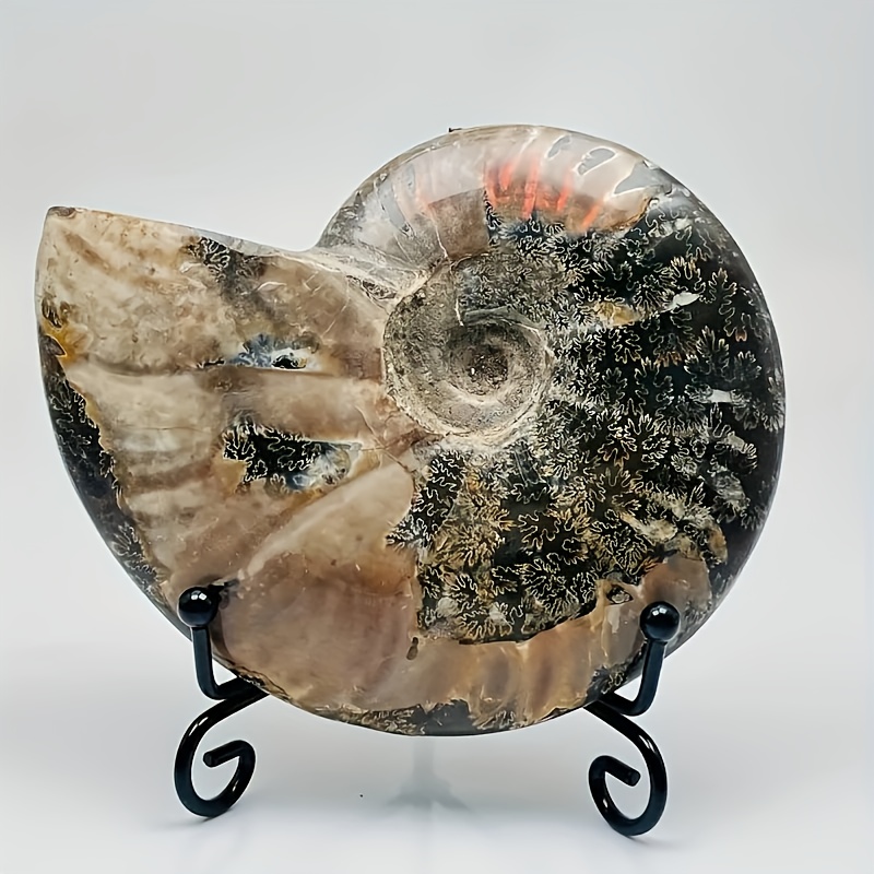 TEMU A Stylish Crystal Conch Decorative Stone, Comes With A Stand, Suitable For Office And Home Decoration - Natural And Textures Visible