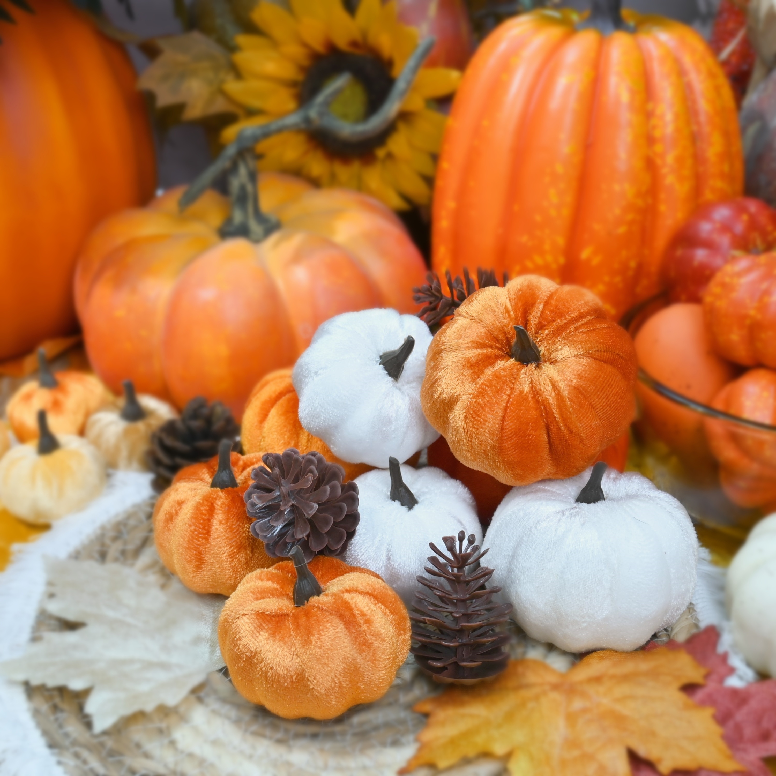 

10pcs Mixed Pumpkins And Pinecones - , , For Fall Centerpieces, , /halloween/christmas Decorations, Use, No Needed, For Seasonal Displays / Wreaths / , For Fall Vibes