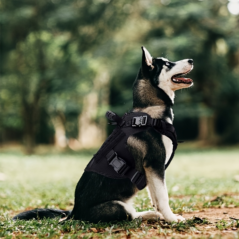 professional training dog harness large dogs heavy duty dog Temu