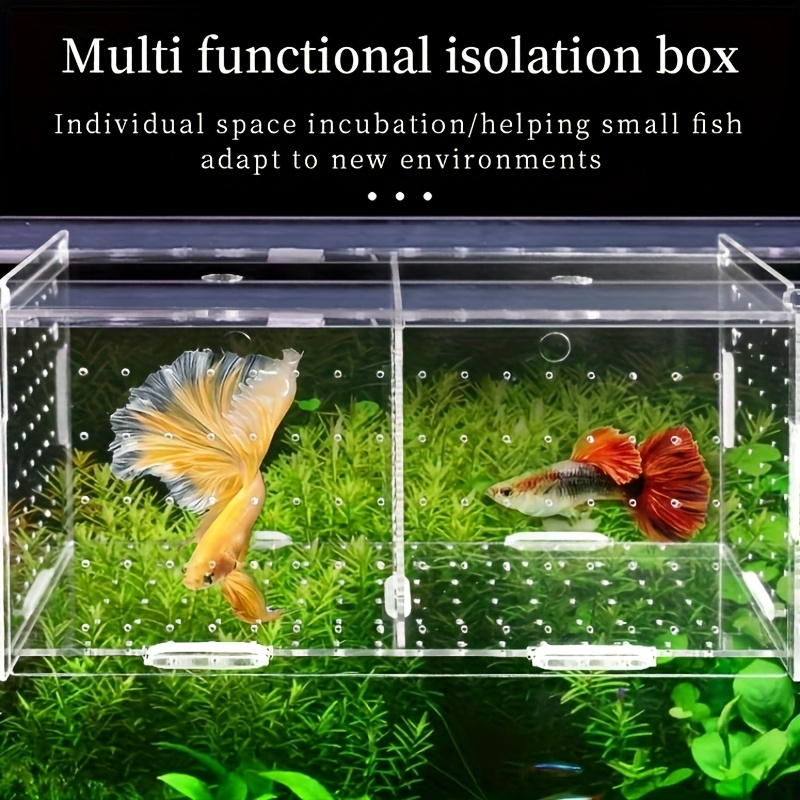 Fish Breeding Box 3-Pack Fish Tank Isolation Breeding Box – For Guppy ...
