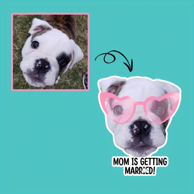 TEMU 10 pegatinas faciales para mascotas para despedida de soltera, perro gato, recuerdos para despedida de soltera, de pegatinas faciales