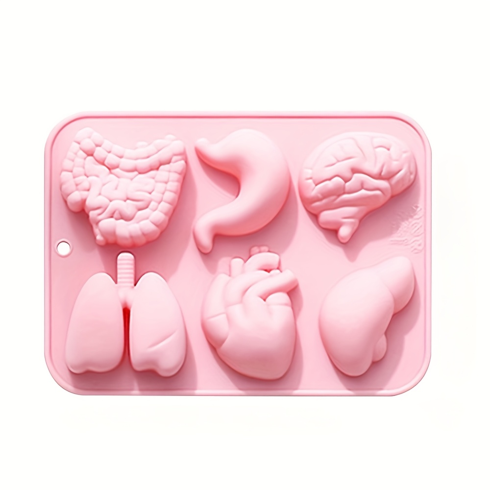 Internal Organ Molds Human Organ Molds 6 Different Shapes In A Row, Clay, Soap, Candle Making Molds, Drip Glue Templates, Filming Props, Teaching Samples Mold-making