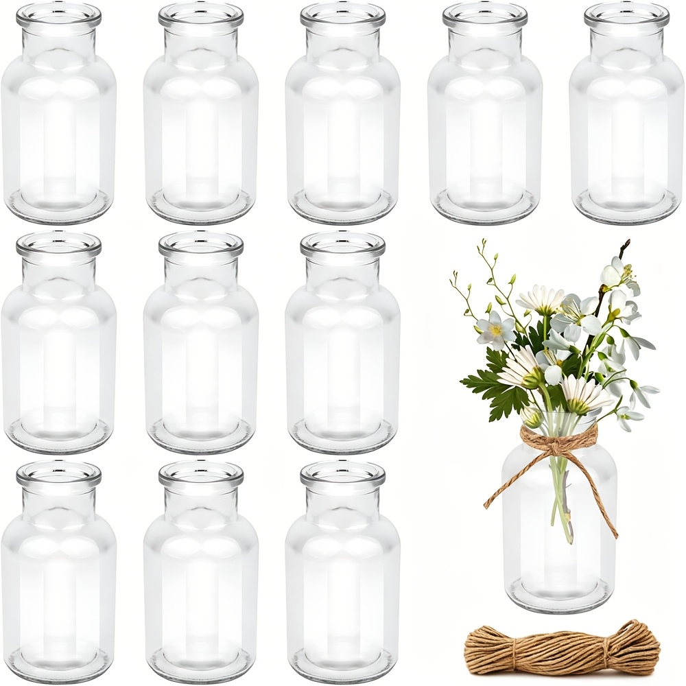 TEMU Lot de 12 vases en verre avec ficelle - Ronds, et minimalistes, adaptés aux florales, mini-plantes, centres de table, décoration d'étagère de