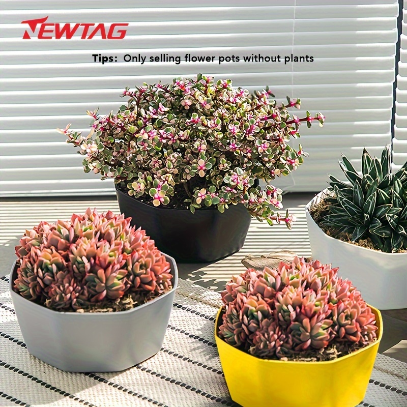 

1pc, Large Size Succulent Planter, Creative Plastic Resin Plant Planter, Cactus Succulent Potted Plant, Thickened Basin Large Diameter For Indoor And Outdoor Flower Pot