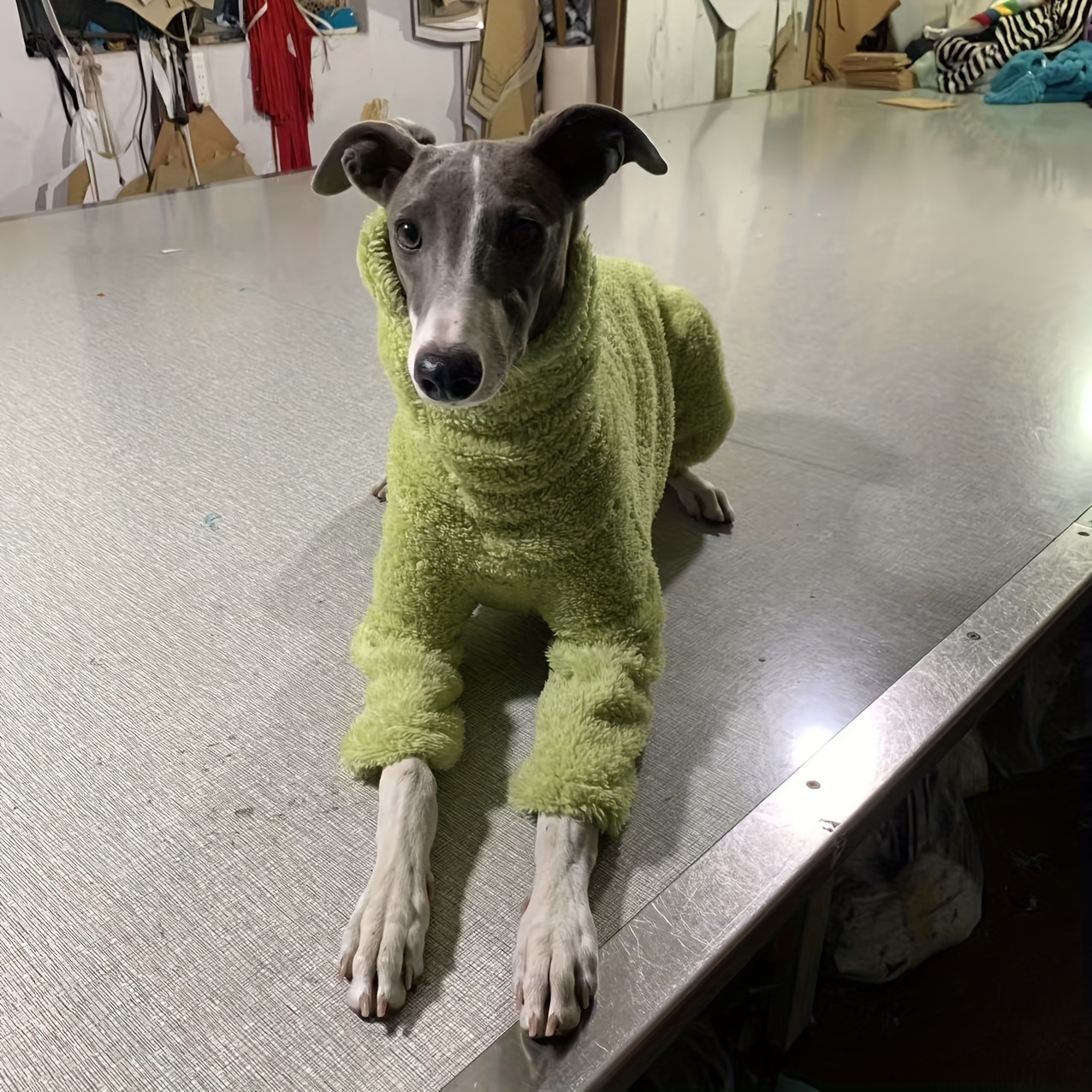 E-shop Dicke Winterbekleidung für Hunde, Schal mit hohem Kragen, trendig, gemischtfarben, bedruckt, doppelseitig, warmes vierschrittiges Outfit, weich