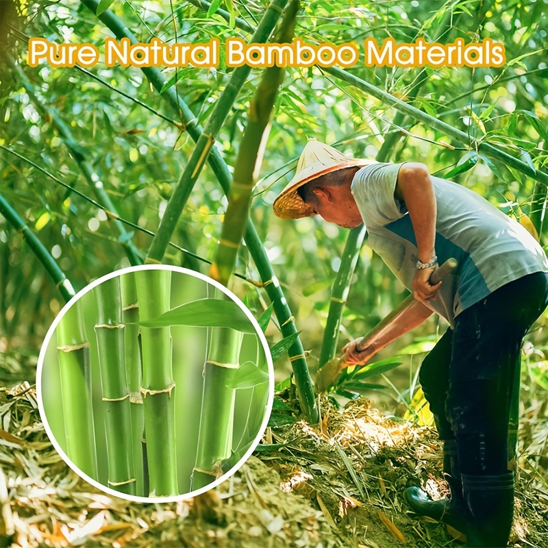 Cocktail Picks Toothpicks Appetizers Bamboo Cocktail Sticks - Temu Canada