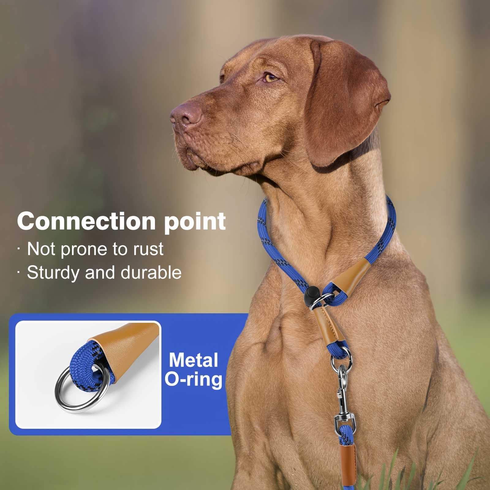 Reflective Striped Nylon Dog Collar with Adjustable Buckle