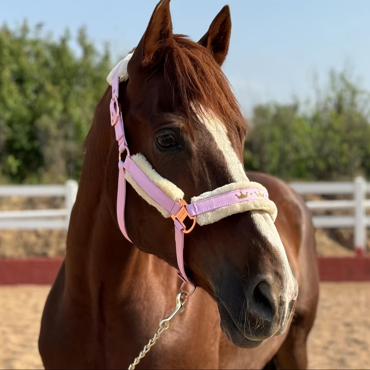 Lichette Cheval En Cuir Rembourrée, Rose, Toutes Tailles, Ridex