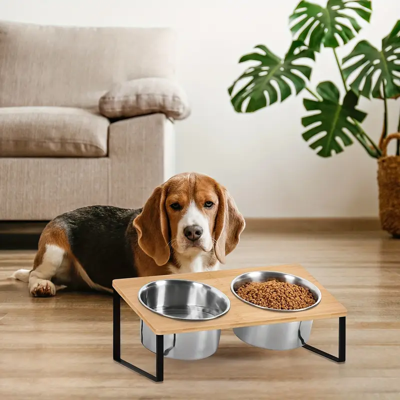 two bowls for pet feeding per set pet feeding bowls for household use plates and four stainless steel bowls white two piece set Product details 3