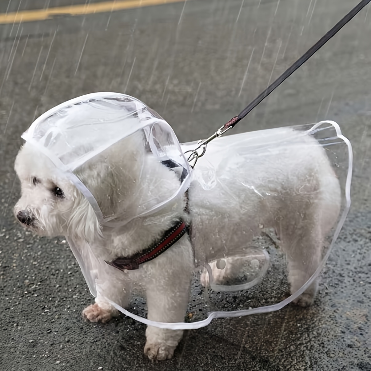 Image of Transparent Dog Raincoat - Pvc, , Button- For To Medium Breeds, Ideal For Teddy & Bichon Frise, Walking Gear, Dog Raincoat | Transparent Raincoat | Pvc Raincoat