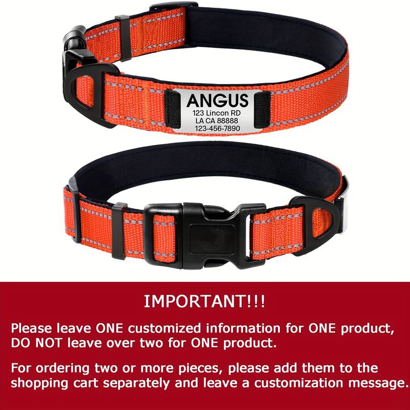 Custom Personalized Dog Collar – Nylon Adjustable With Engraved Nameplate, Many Sizes