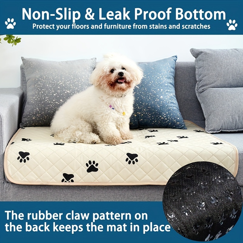 How Do I Protect the Bottom of My Couch from Dog Urine?: Ultimate Guide