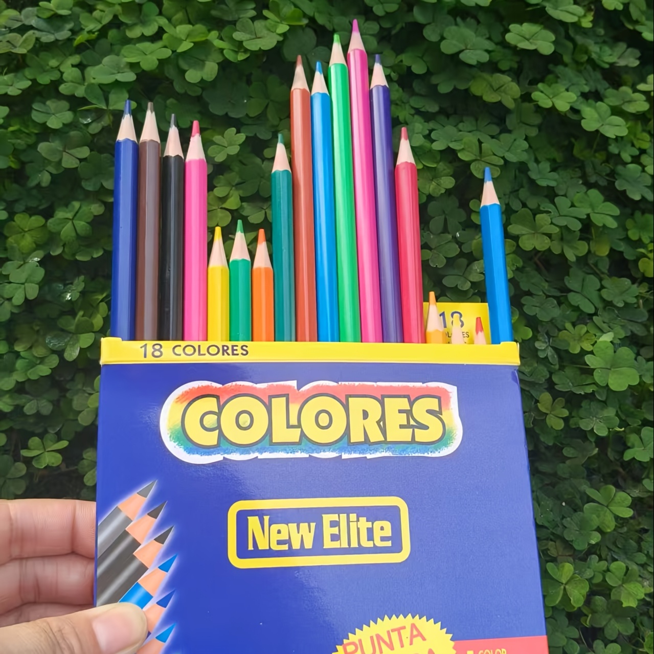 Image of 18pcs Mixed Box Beginner Line Drawing Fun Painting And Coloring Book - Vivid Mixed Colors, Interactive Painting Activities, Perfect Gift For Birthdays And Holidays