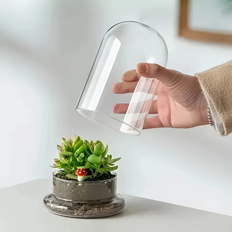 

Split 2-in-1 Micro Landscape Transparent Glass Cover Set, Moss Bottle, Transparent Glass Cover, Plant Decorative Bottle, Desktop Decoration, Ornament, Christmas Gift