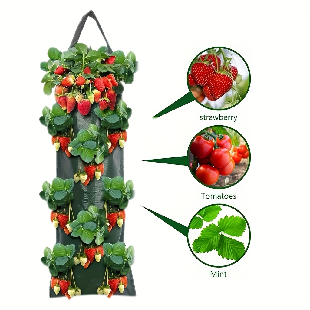 MUYAPAY 2 Sacs De Plantation Fraises Suspendus – 8 Trous Respirants – 25×60 Cm Vert – Culture Verticale Balcon