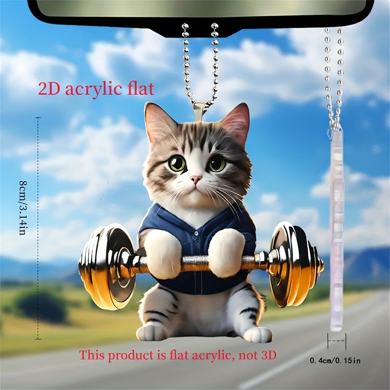 SC Products Hasbulla Meme Car Air Freshener, Ideal Funny Present for Men  or