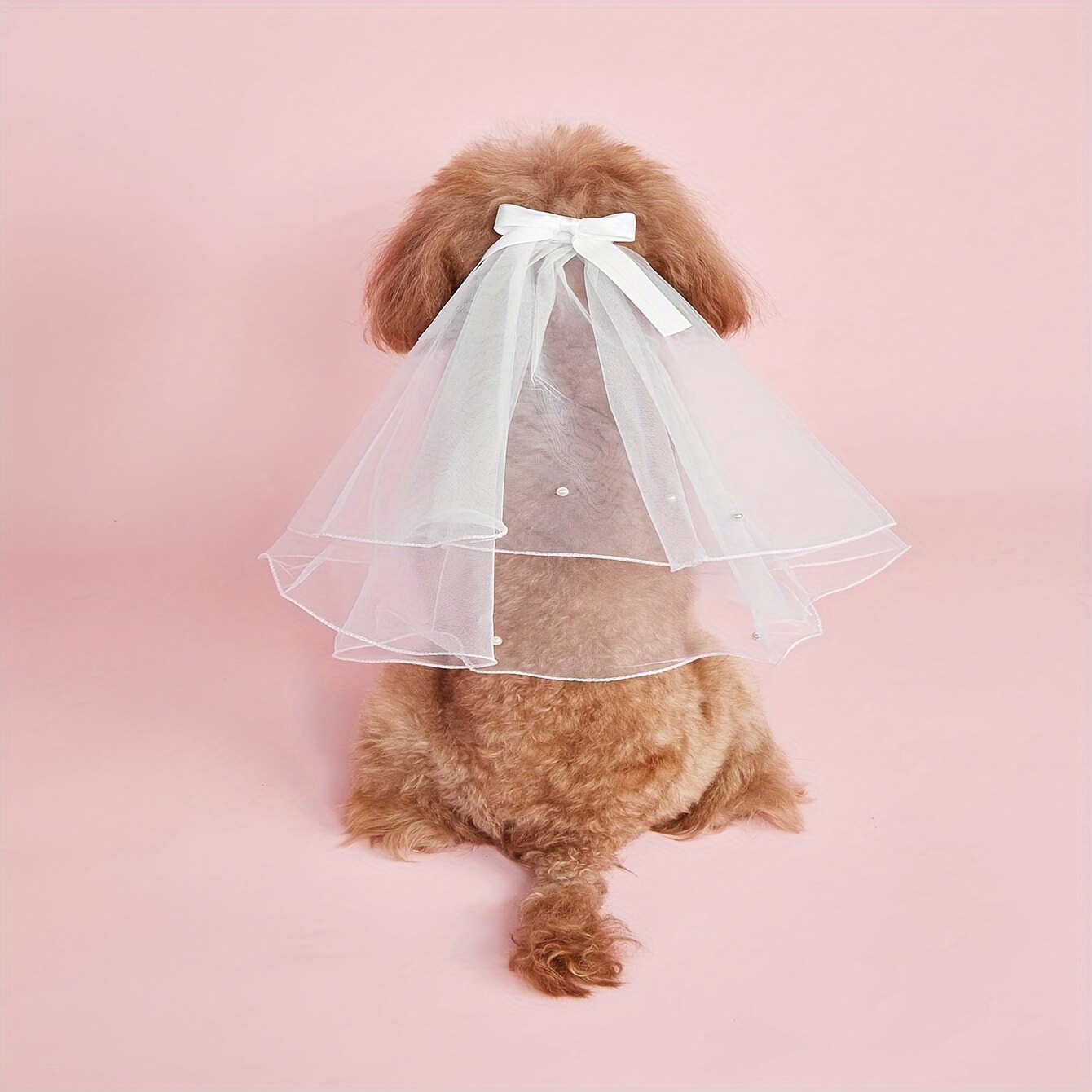 

Ensemble Robe de Mariée & Bandeau pour Animaux de Compagnie pour Chats & Chiens
