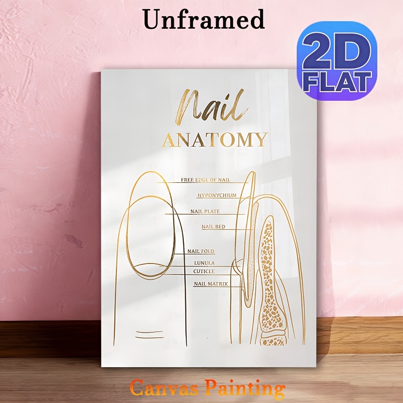 TEMU 2d Flat, Nail Anatomy & Nail Structure Art Poster - Retro/ Nail Charts Print Suitable For Nail Salon Decor, Nail Technician Gift, Manicure Wall