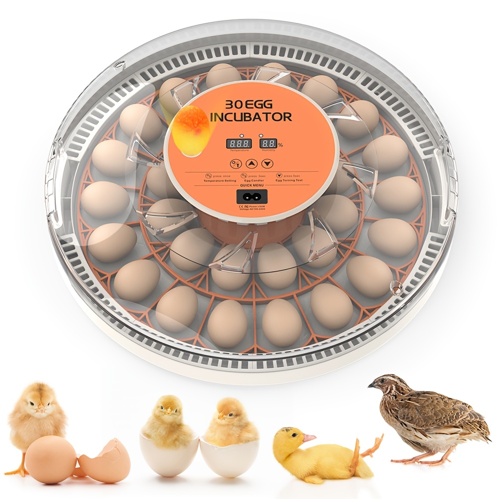 The Fully Automatic Incubator Is Designed for Hatching Chicken Eggs, Featuring Automatic Temperature Control, an LED Egg Candling Light, Humidity Monitoring, And a 360° View. It Can Incubate Up to 30 Chicken Eggs at Once, Suitable for Chickens