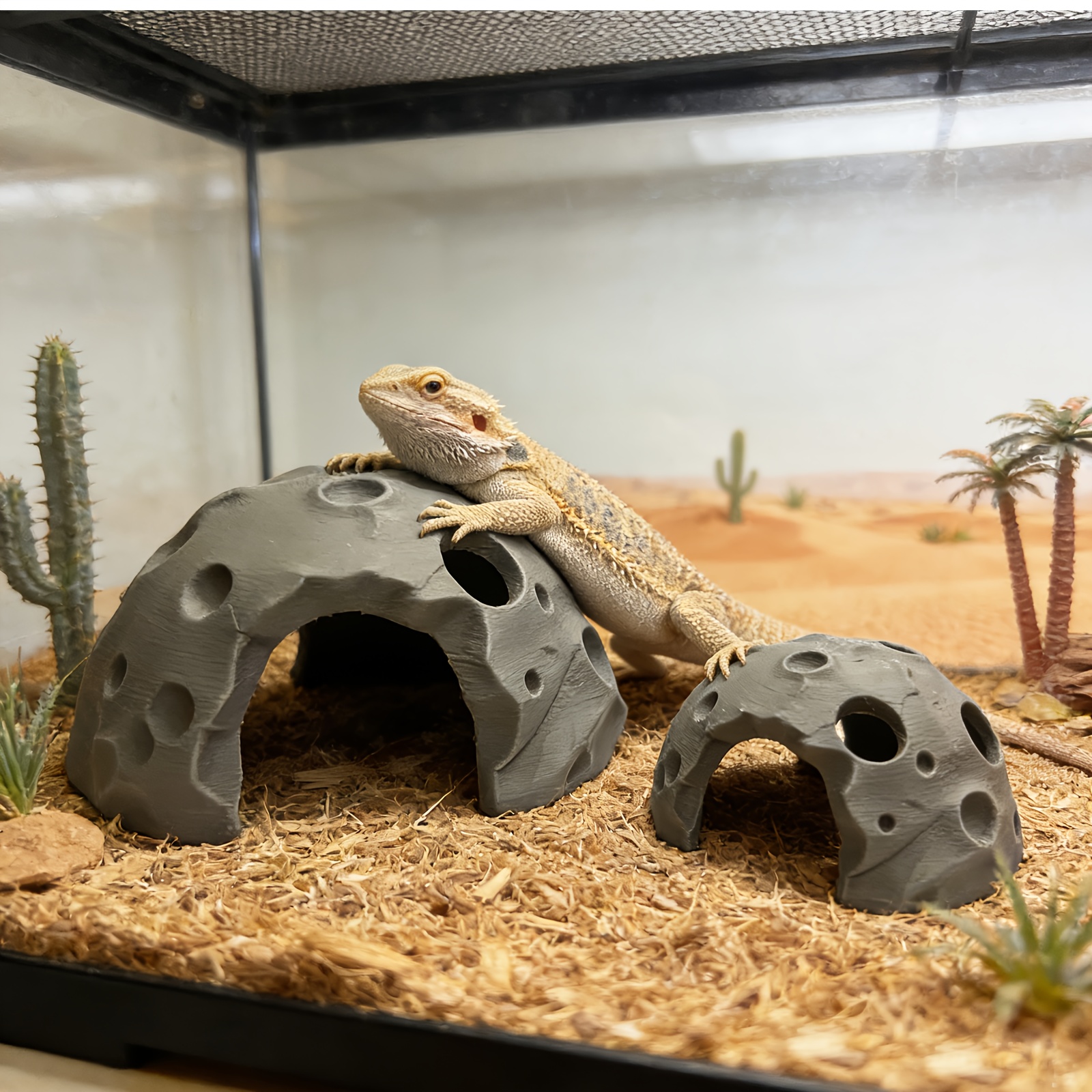 Dreamy Moon Rock Cave Shaped Amphibian Hideout
