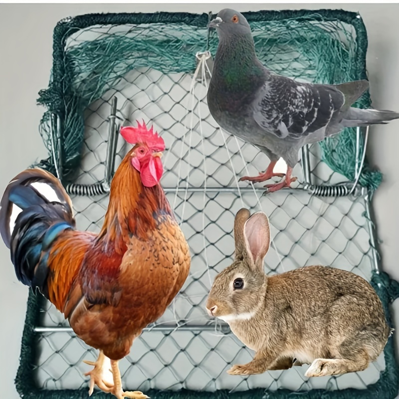 Bird Net Dird Net Trap Live Dove Mousetrap Rabbit Hunting Quail