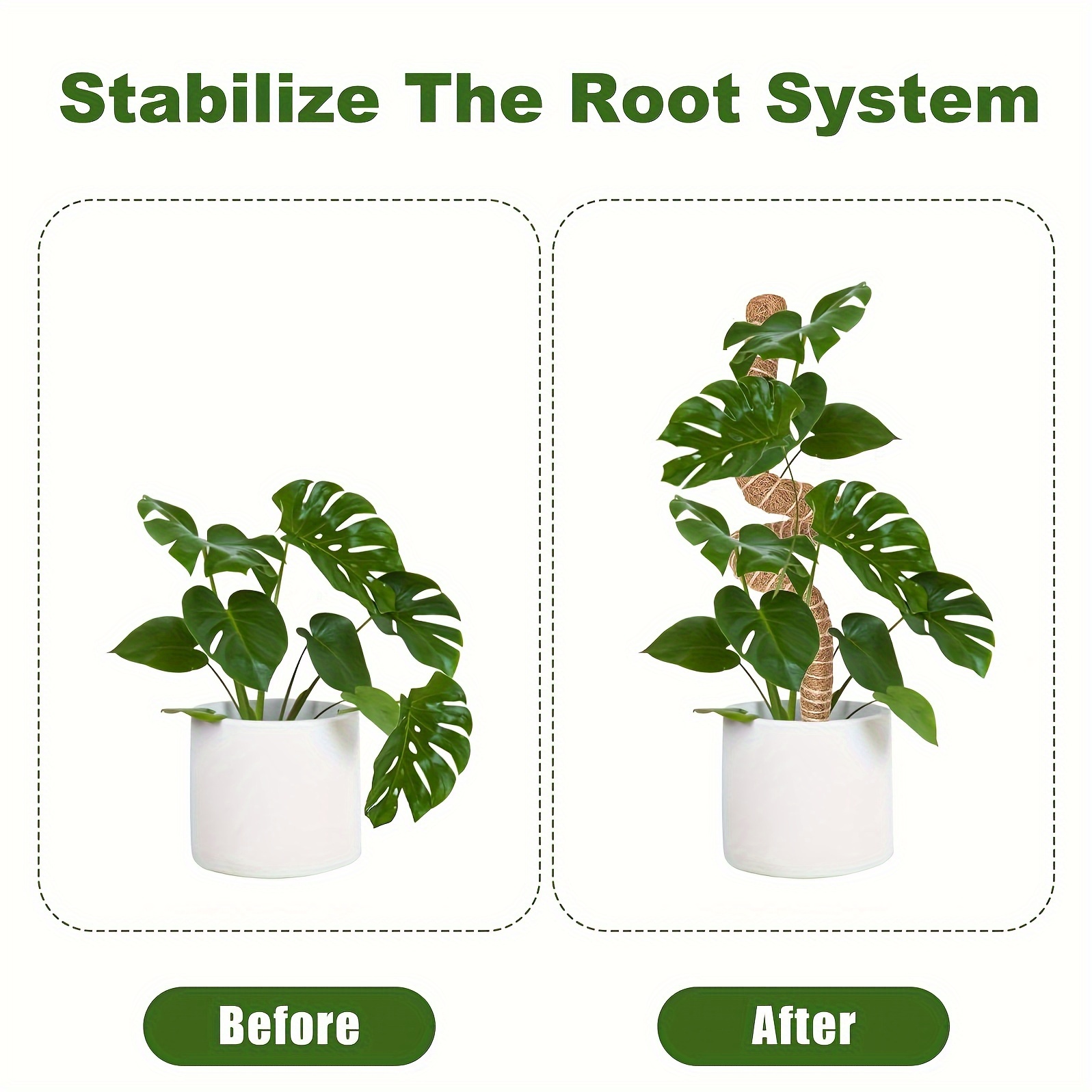 moss poles climbing plants monstera indoor deformable - Temu Norway