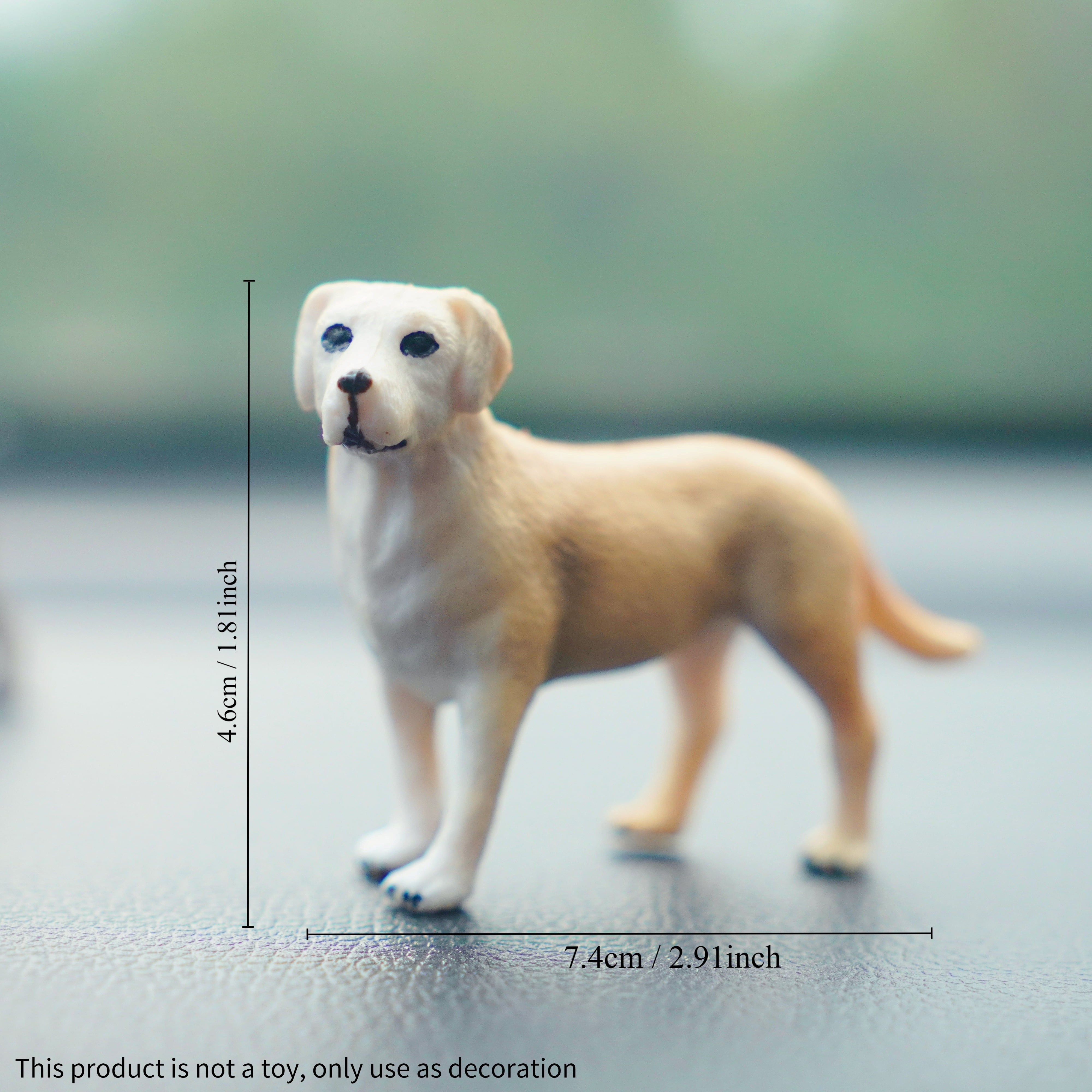 Platteville dog breeder named in 'Horrible Hundred' report, image size:4000x4000